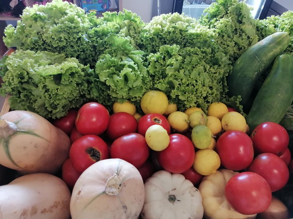 Cageot de légumes et fruits frais : salades, tomates, courges et citrons.